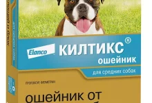 Photo of Что такое Кильтикс?