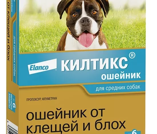 Photo of Что такое Кильтикс?