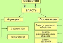 Photo of Разнообразие: ключевой элемент современного мира